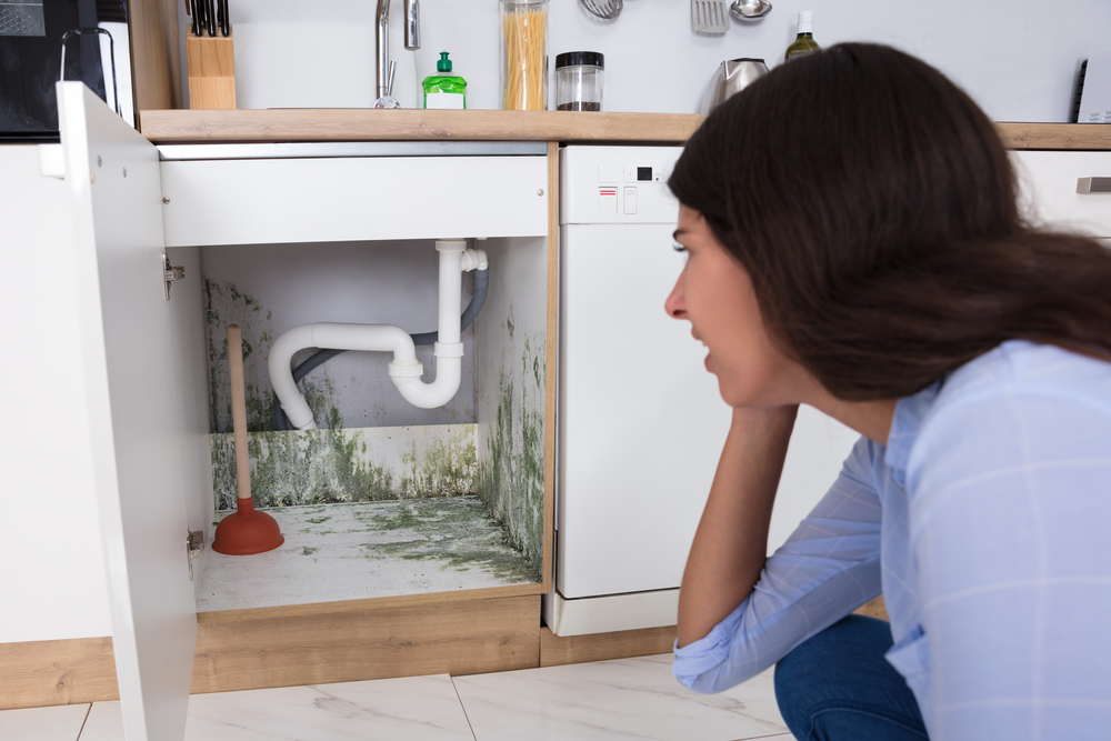 Young Woman Looking At Mould In Cabinet Area In Kitchen